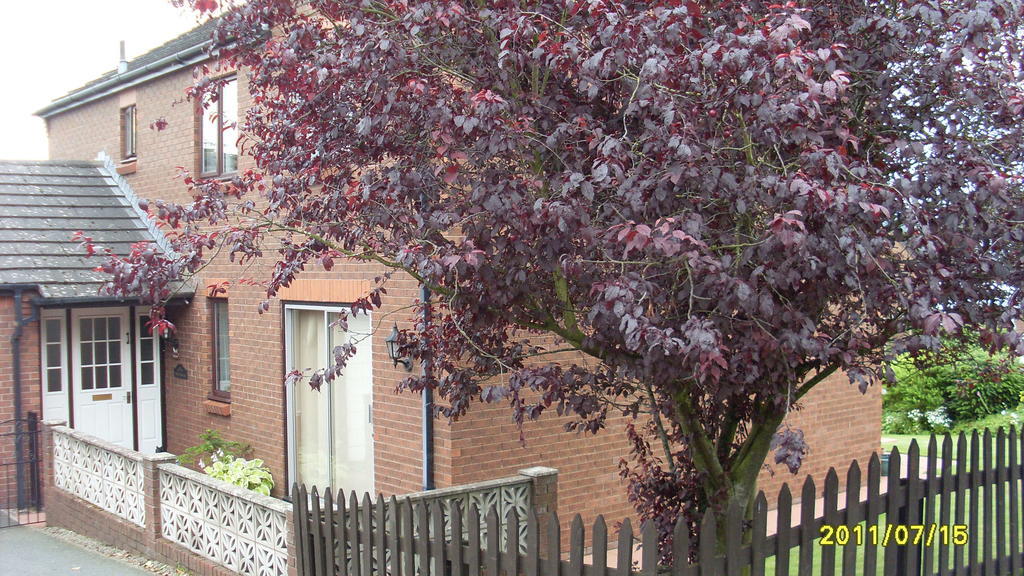 Briardale Bed and Breakfast Lazonby Exteriör bild